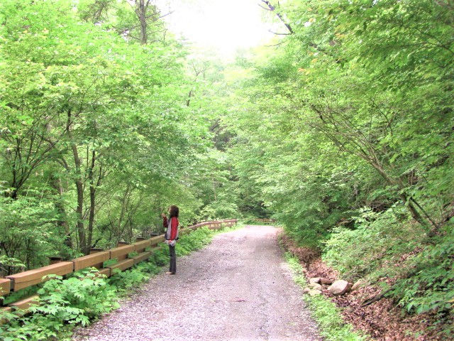 軽井沢の小瀬林道