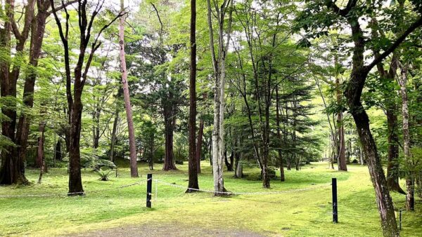 「軽井沢日帰り癒しコース」
